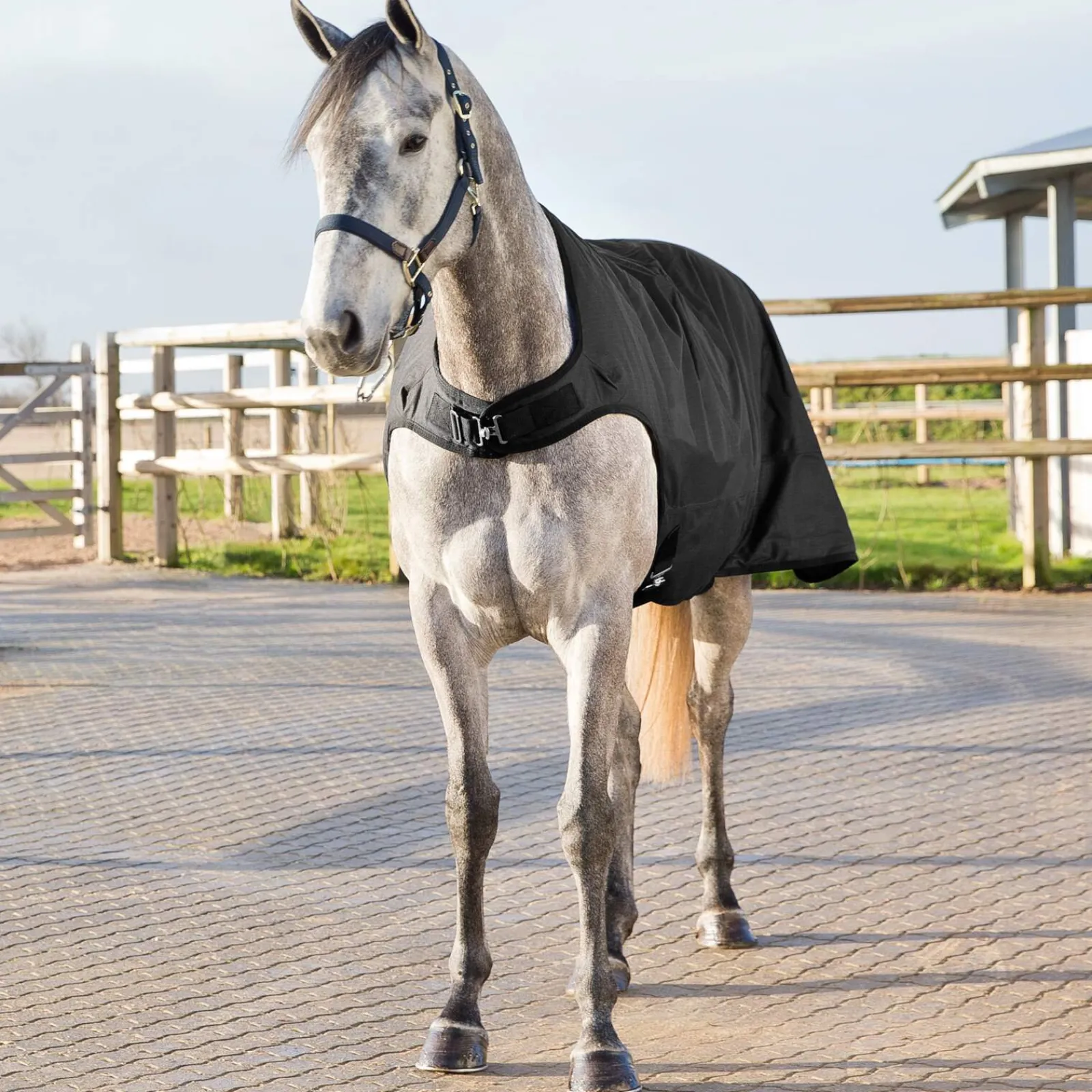 Online Nevada Walker Rug, 200g Walker Rugs