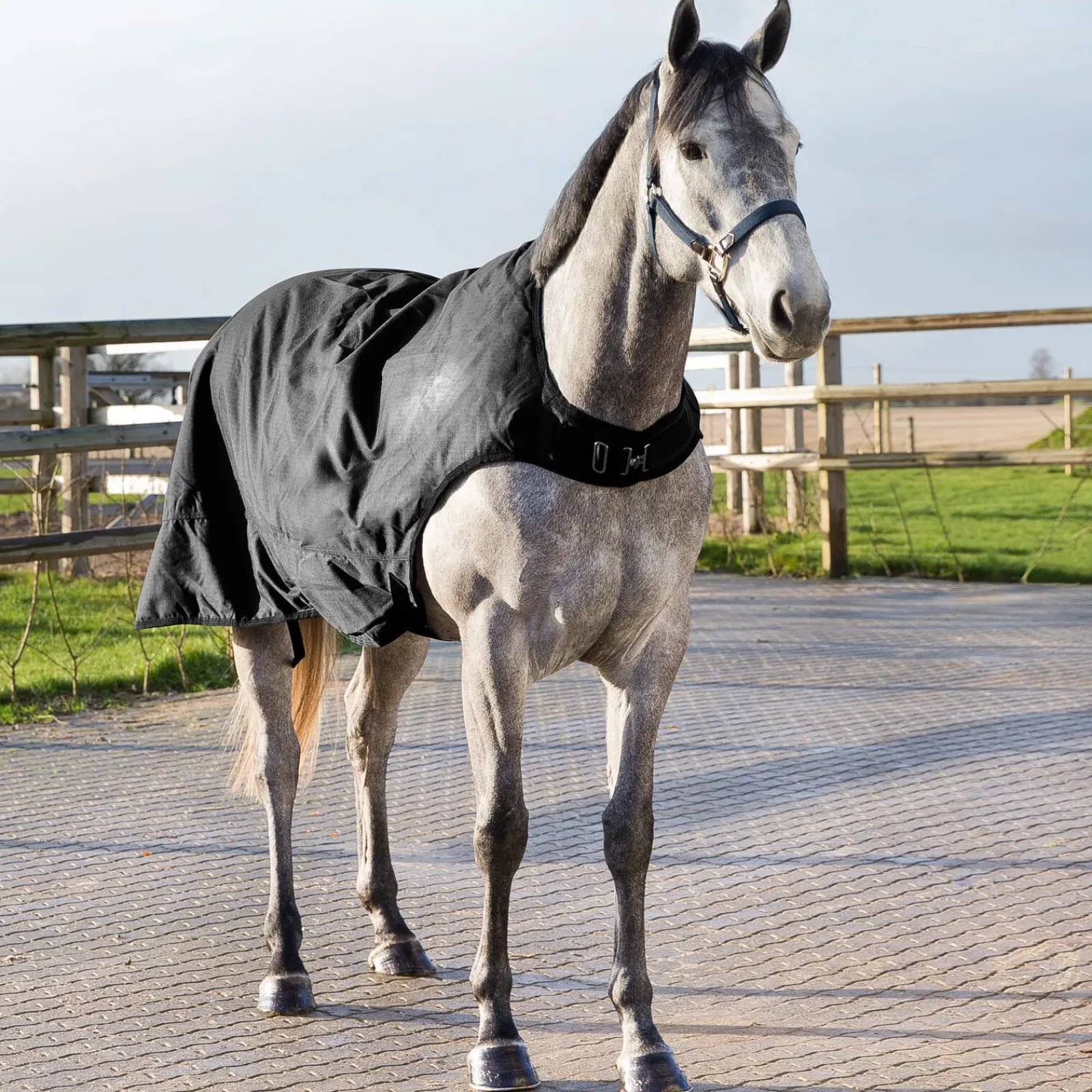 Online Nevada Walker Rug, 200g Walker Rugs