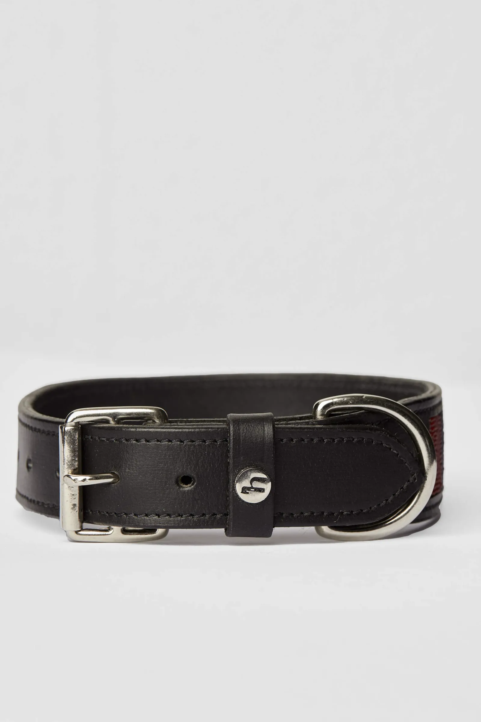 Outlet Noir Dog Collar with Stars Dog Collars