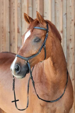 Clearance Orlando Combined Anatomical Bitless Bridle Pony Bridles & Halters|Bridles & Nosebands