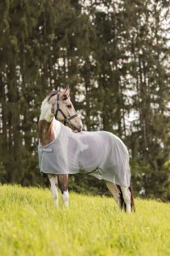 Outlet Orleans Fly Rug Fly Rugs|Fly Rugs