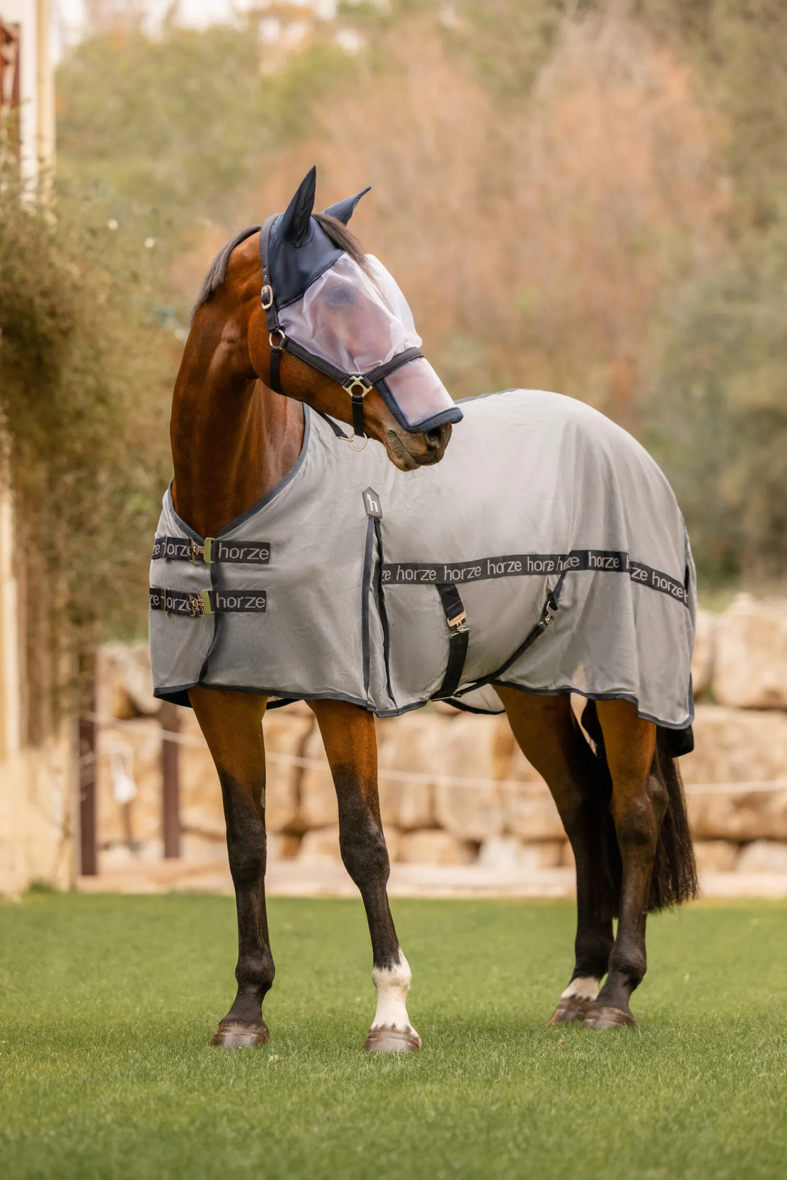 Fashion Paso Fino Fly Rug with UV Protection Fly Rugs|Fly Rugs