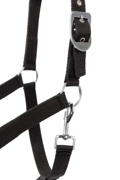 Discount Pegasus Pony halter set Headcollars & Halters
