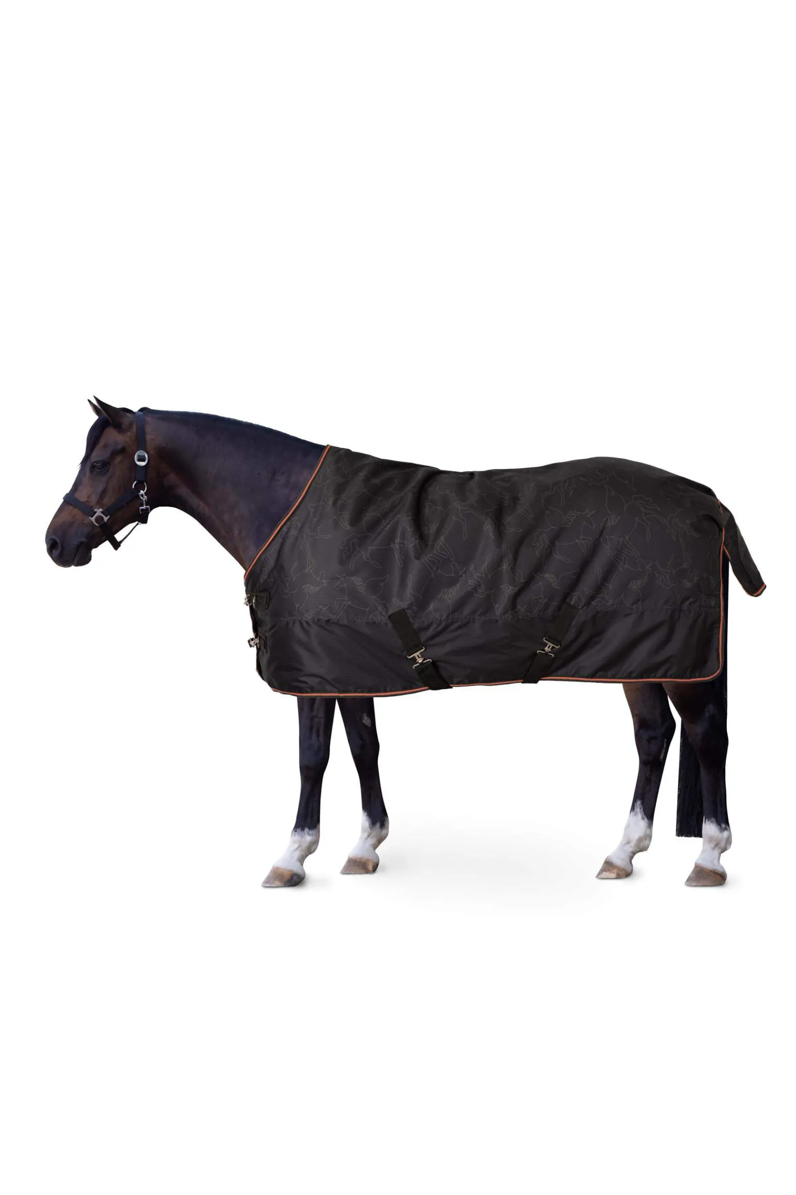 Sale Pegasus Pony turnout 200gsm Pony Rugs|Pony Rugs
