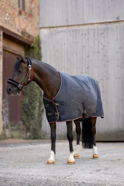 Sale Pegasus Pony turnout 200gsm Pony Rugs|Pony Rugs