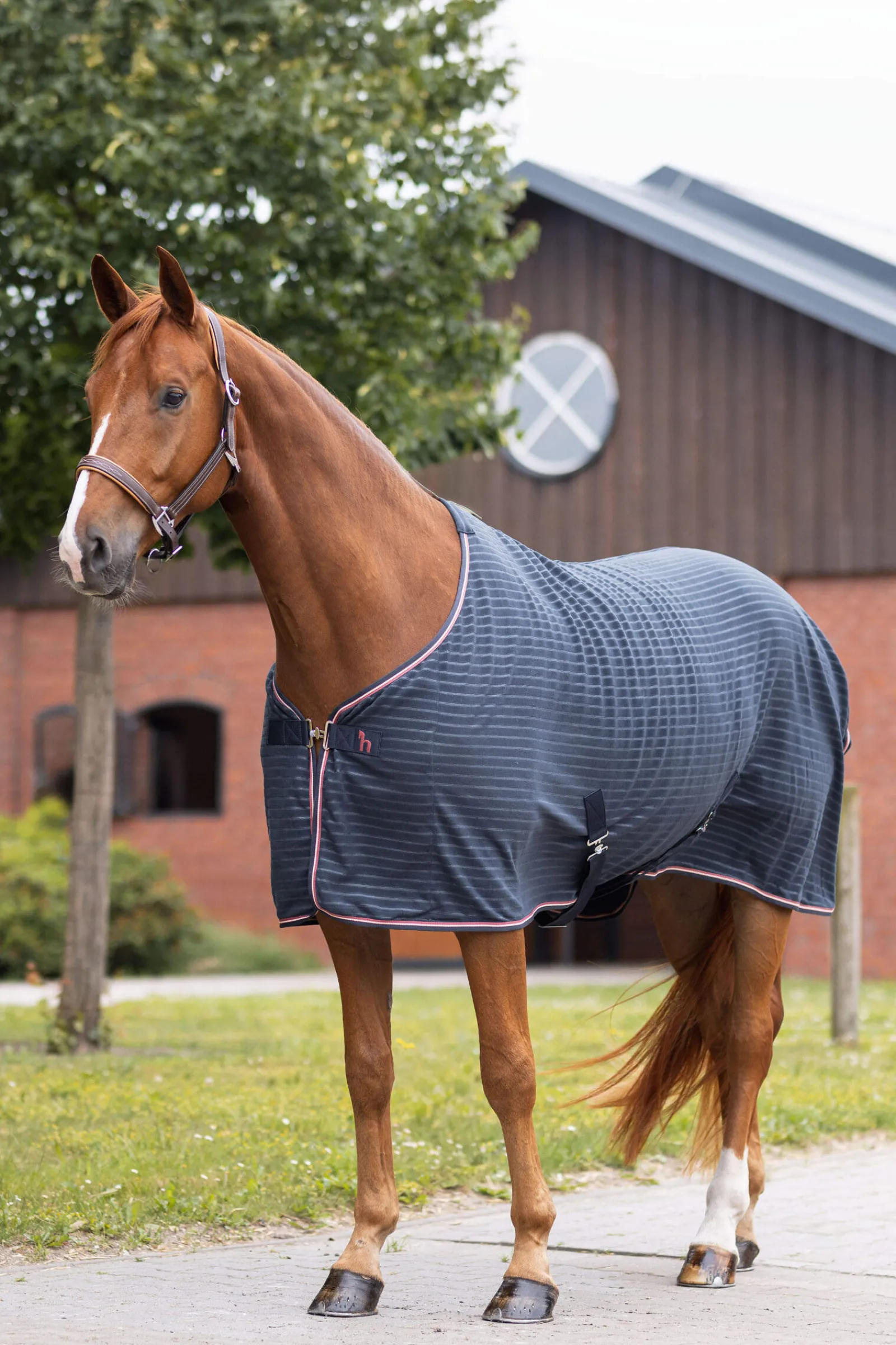 Online Physical Sophistication Fleece Cooler Fleece Horse Rugs & Cooler Rugs