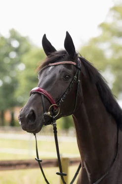 Best Physical Sophistication Bridle Pony Bridles & Halters|Bridles & Nosebands