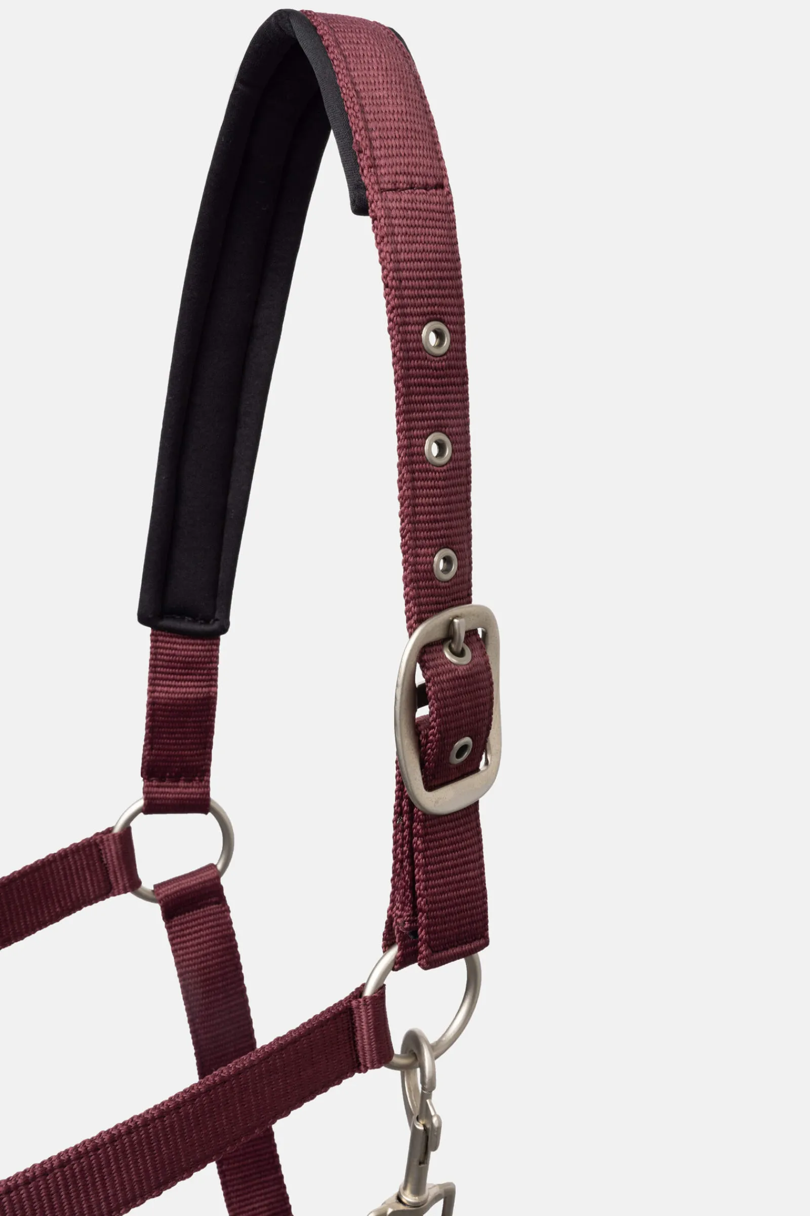 Outlet Physical Sophistication Halter Set Headcollars & Halters