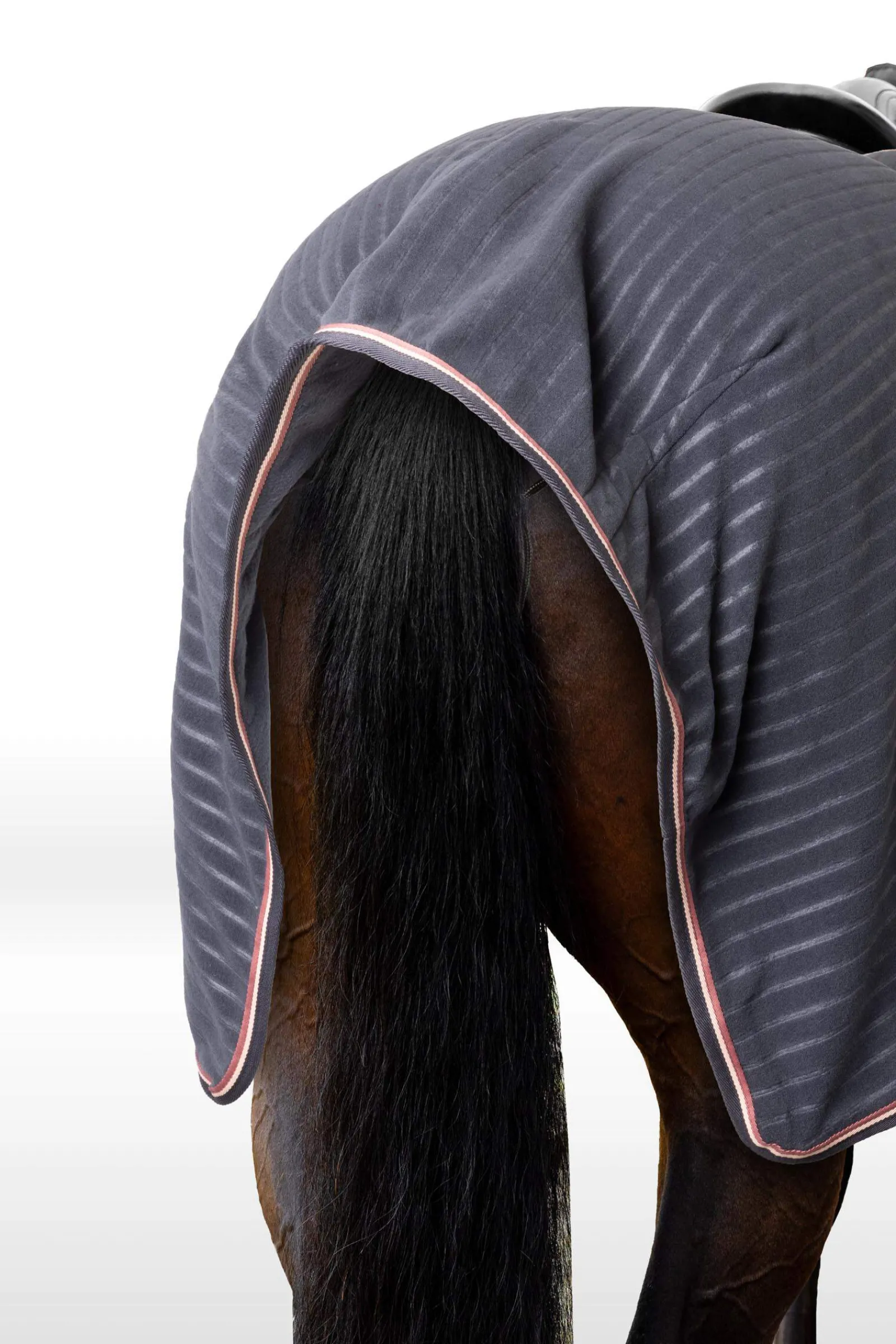 Fashion Physical Sophistication Riding Rug Exercise Sheets & Quarter Sheets