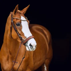 Online Positano Anatomic Hannover Bridle Pony Bridles & Halters|Bridles & Nosebands