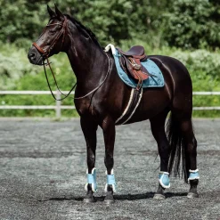Online Positano Anatomic Hannover Bridle Pony Bridles & Halters|Bridles & Nosebands