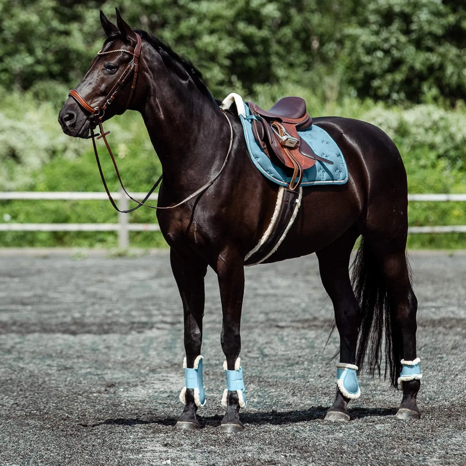 Online Positano Anatomic Hannover Bridle Pony Bridles & Halters|Bridles & Nosebands