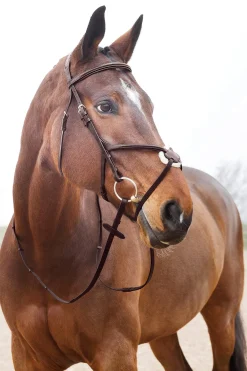 New Prescott Mexican Noseband Bridle Bridles & Nosebands