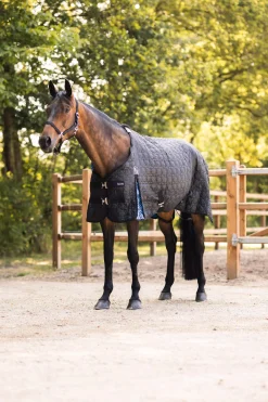 Clearance Quebec Stable Rug 100g Stable Rugs & Liners