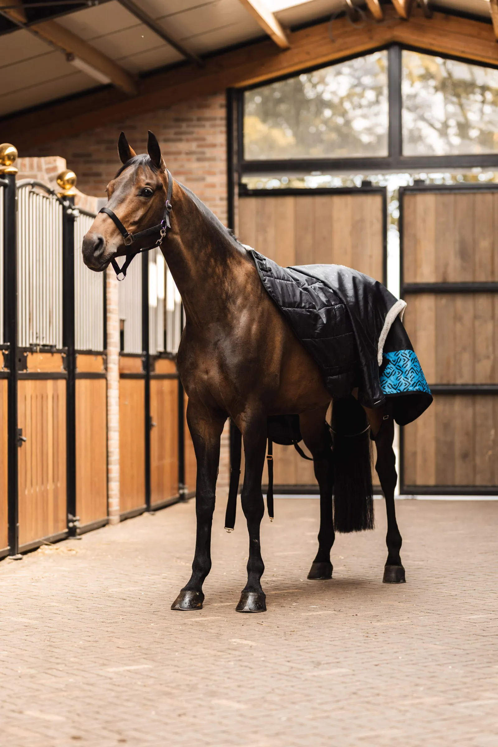 Hot Quebec Walker Rug Liner 150g Walker Rugs