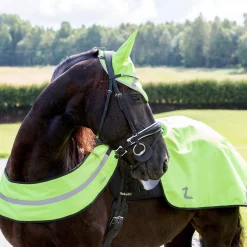 Discount Reflective Harness Hi Viz Horse Wear|Hi Viz Horse Wear