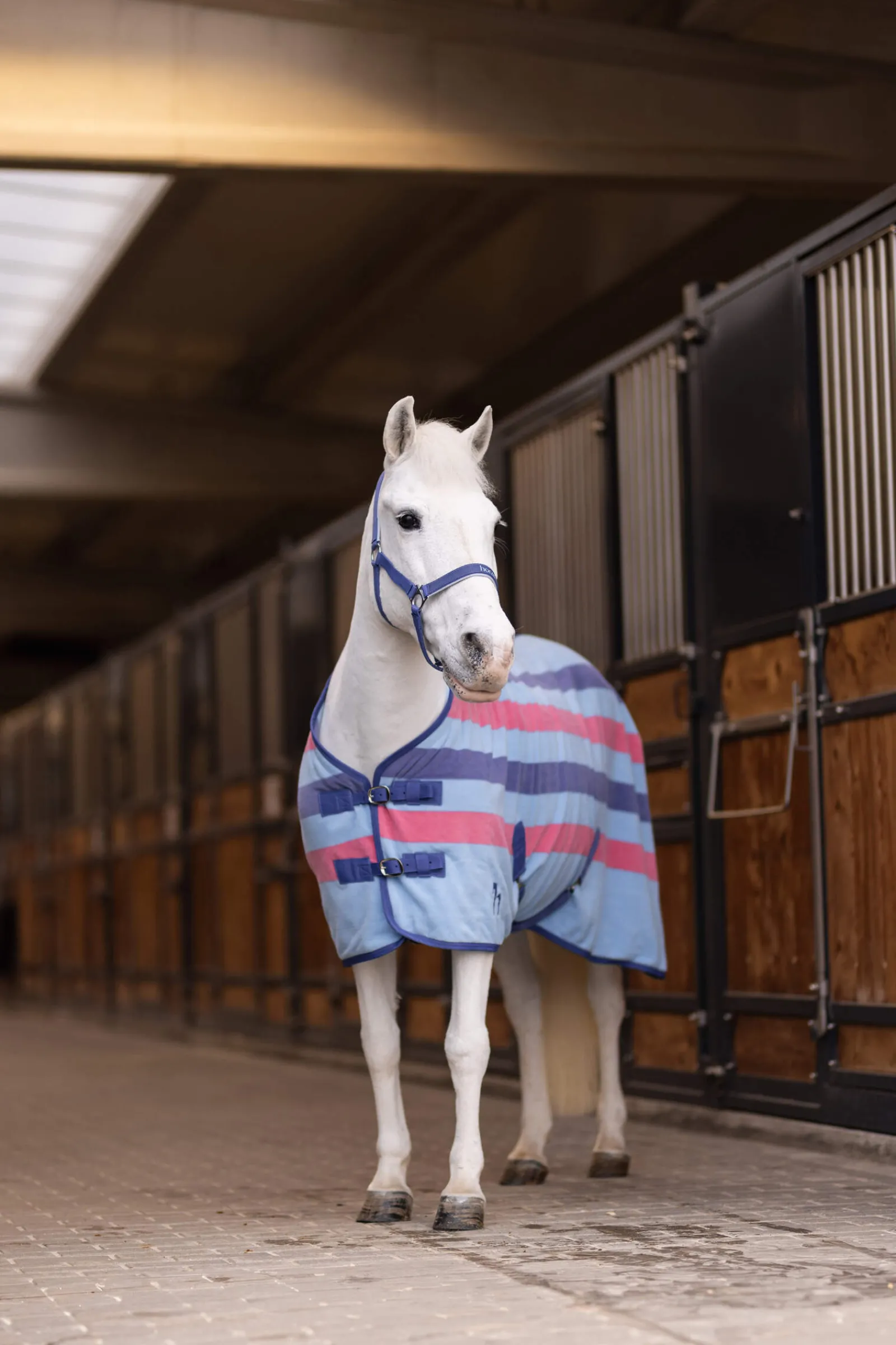 Fashion Rising Star Fleece Cooler Pony Rugs|Pony Rugs
