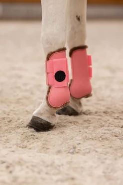 Clearance rising star tendon boot Horse Boots