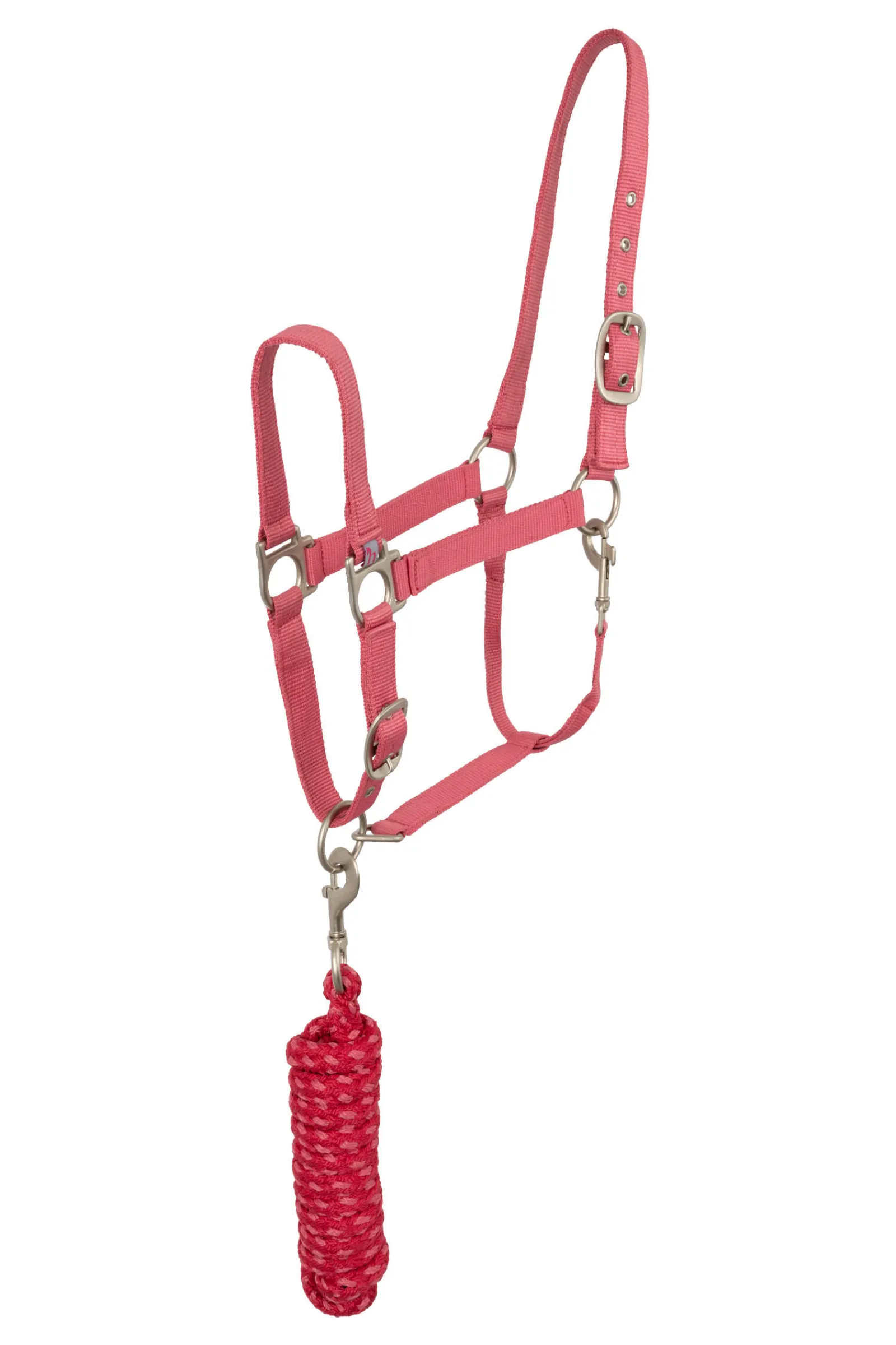 Clearance Rose Tonique Halter Headcollars & Halters