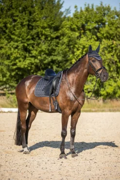 Online Sandnes Dressage Saddle Pad Dressage Saddle Pads