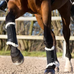 Outlet Signature Brushing Boots Horse Boots