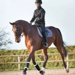 Outlet Signature Brushing Boots Horse Boots