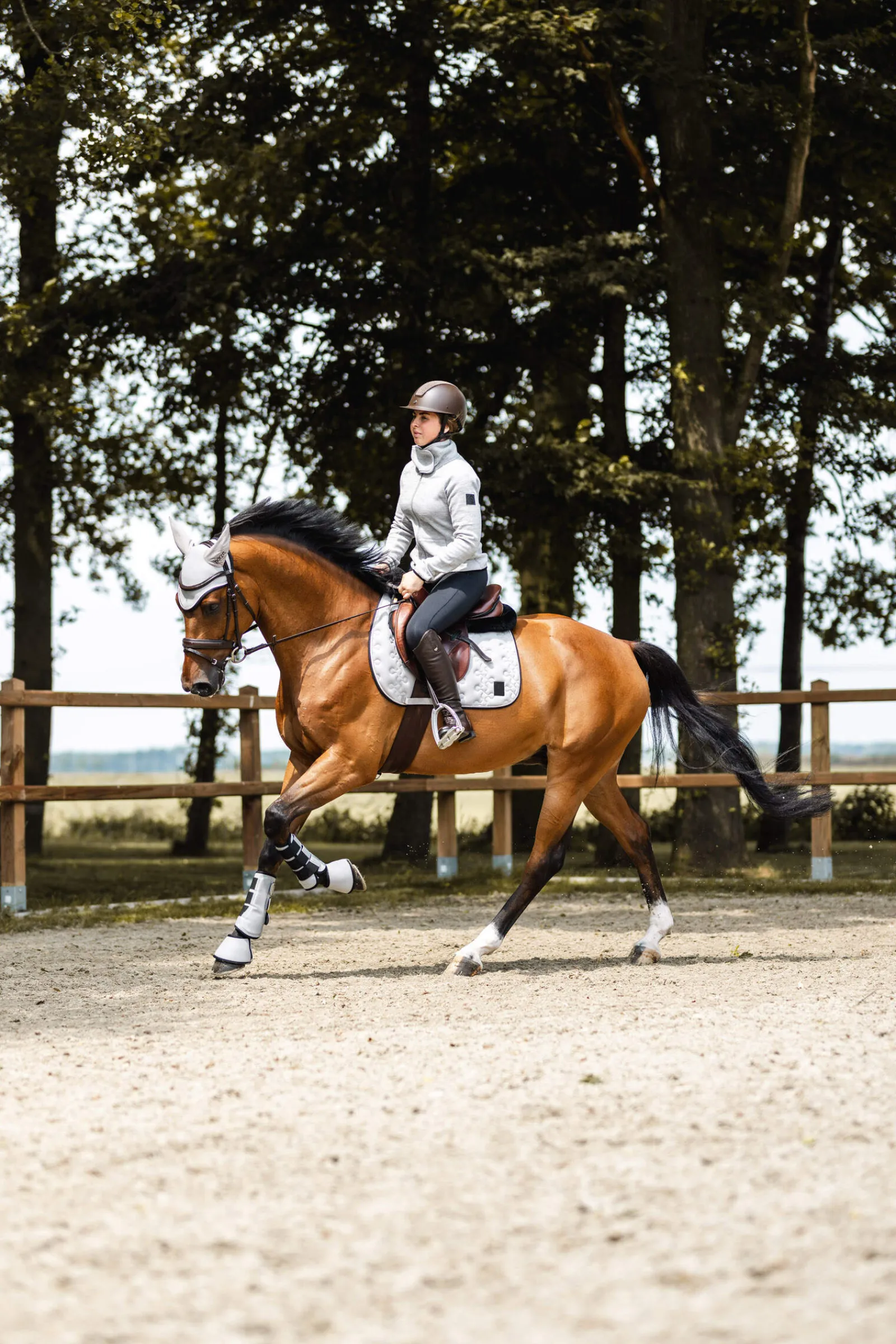 Online Smoky Twilight Jumping Saddle Pad Pony Saddle Pads|All Purpose & Jumping Saddle Pads