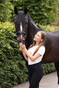 Hot Somerset Anatomic Bridle Pony Bridles & Halters|Bridles & Nosebands