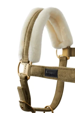 Best St. Moritz Halter Headcollars & Halters