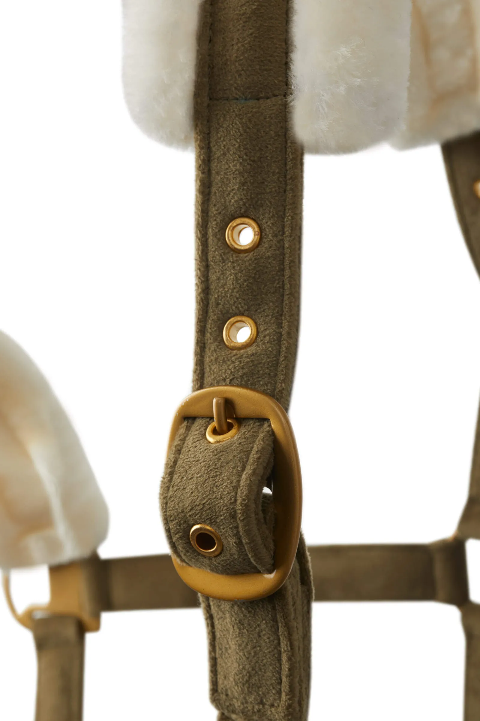 Best St. Moritz Halter Headcollars & Halters