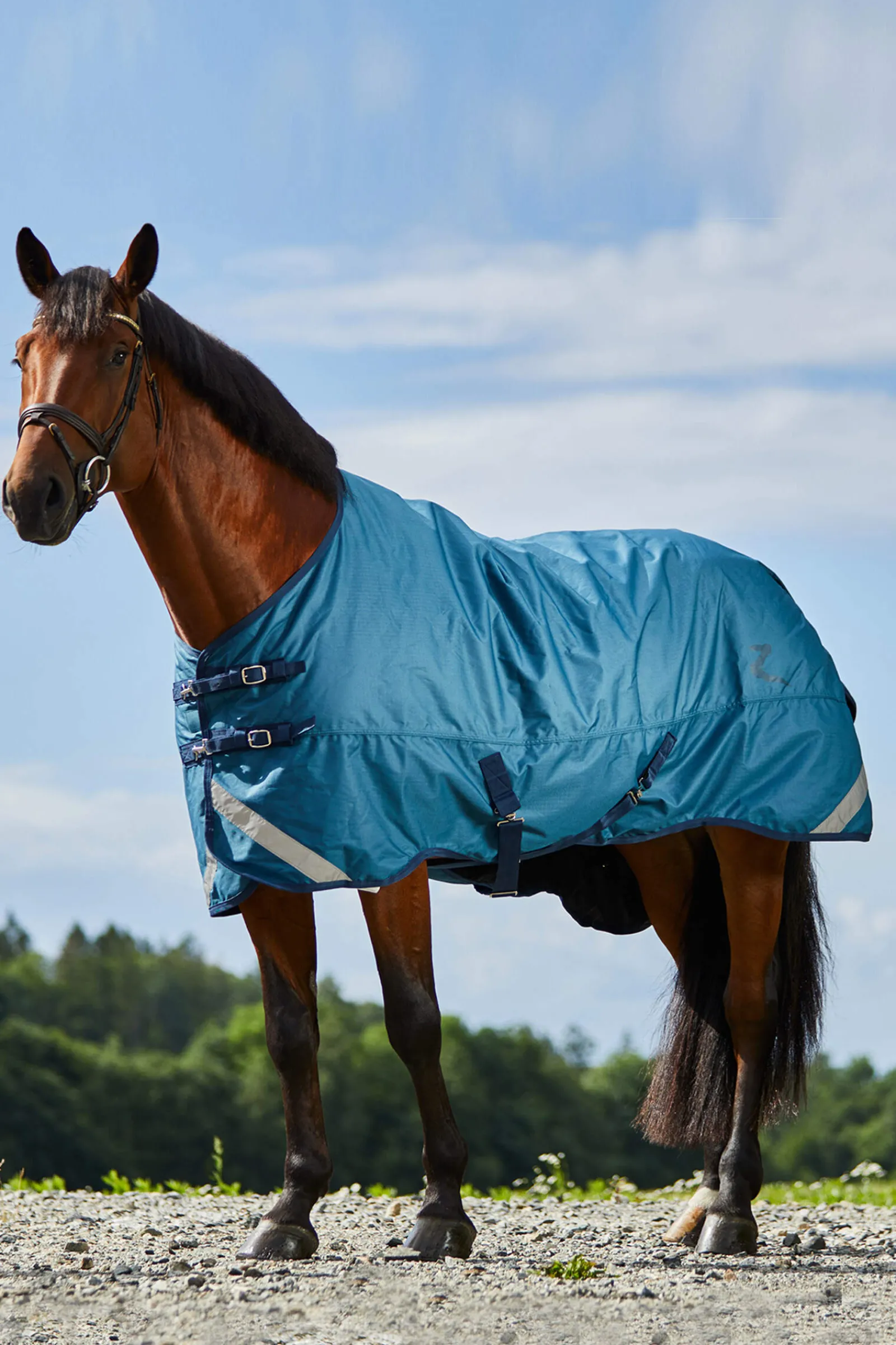 Sale Turin Medium Weight Turnout Rug, 150g Lightweight Turnout Rugs