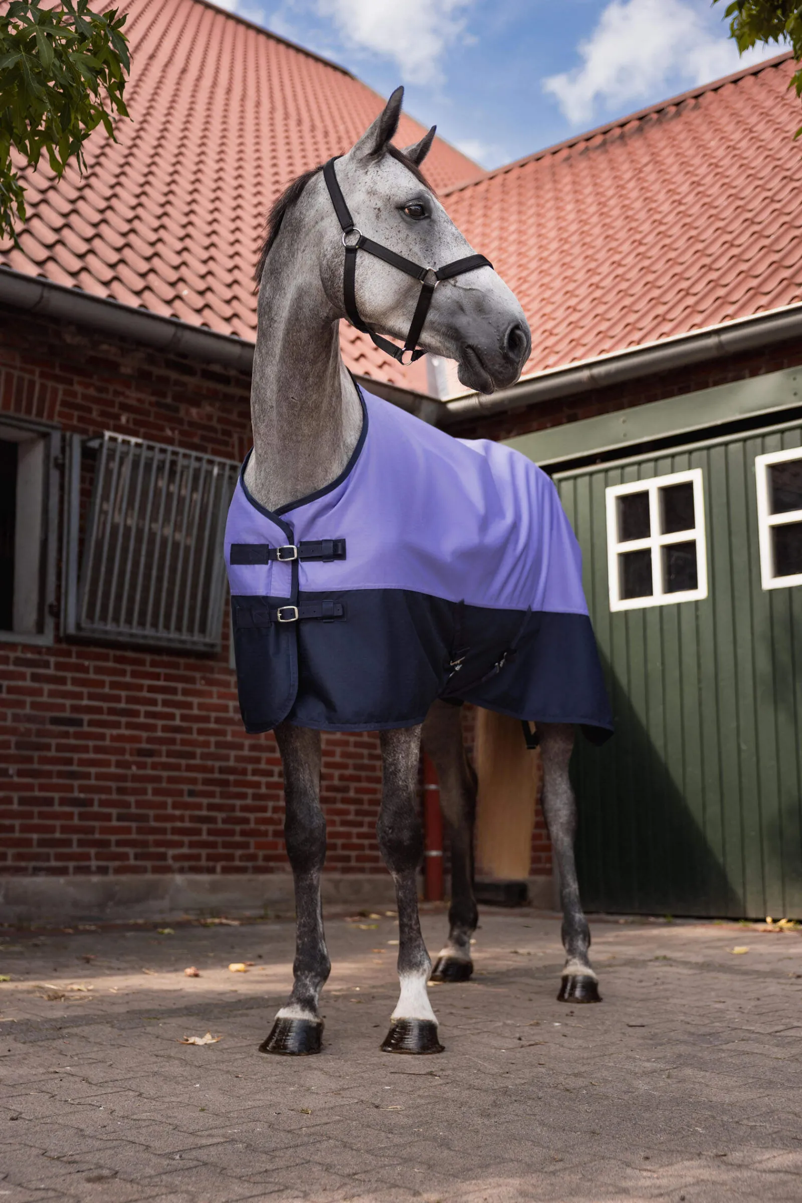 Clearance Turnout 600D Fleece Lining, 0g Lightweight Turnout Rugs