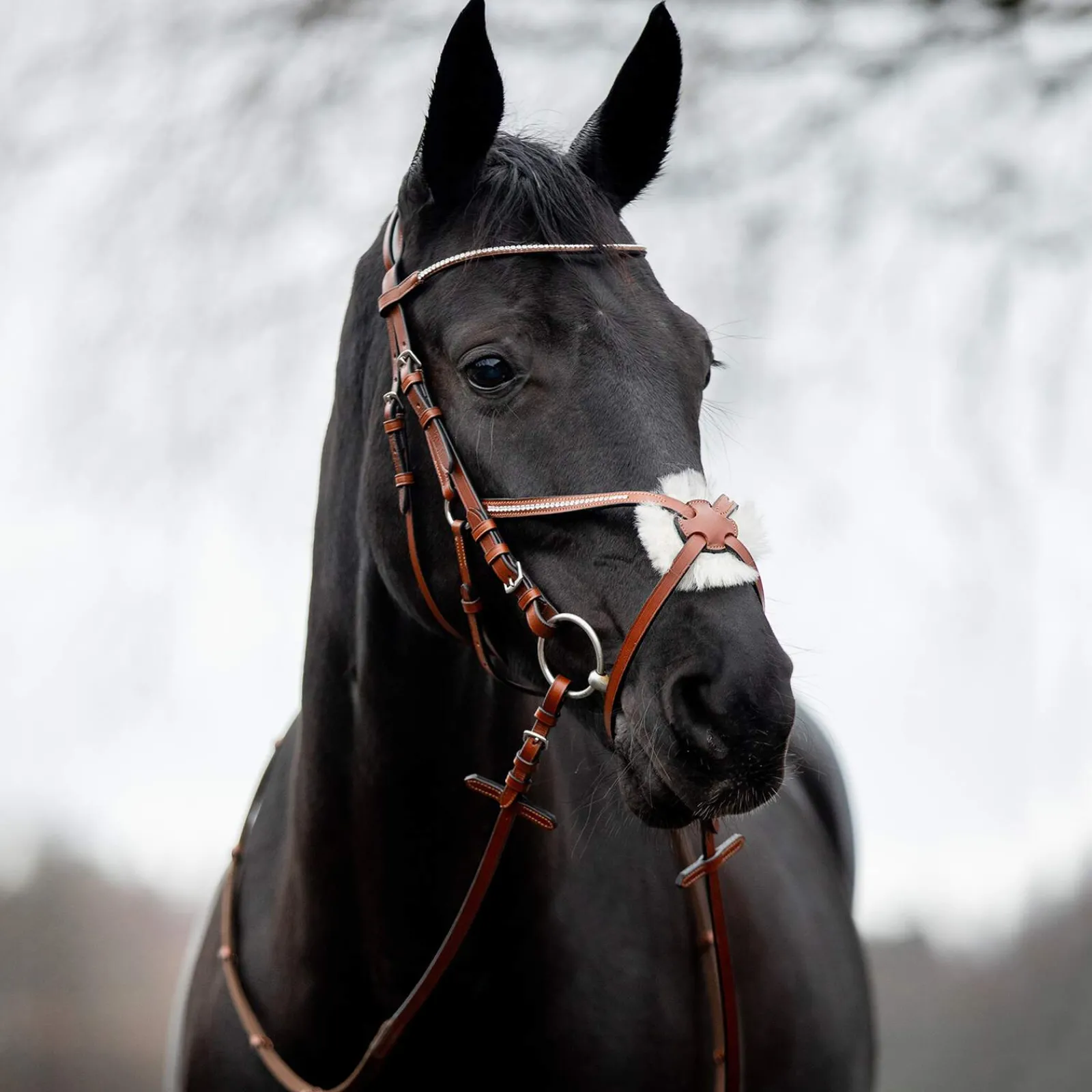Best Valencia Mexican Bridle Bridles & Nosebands