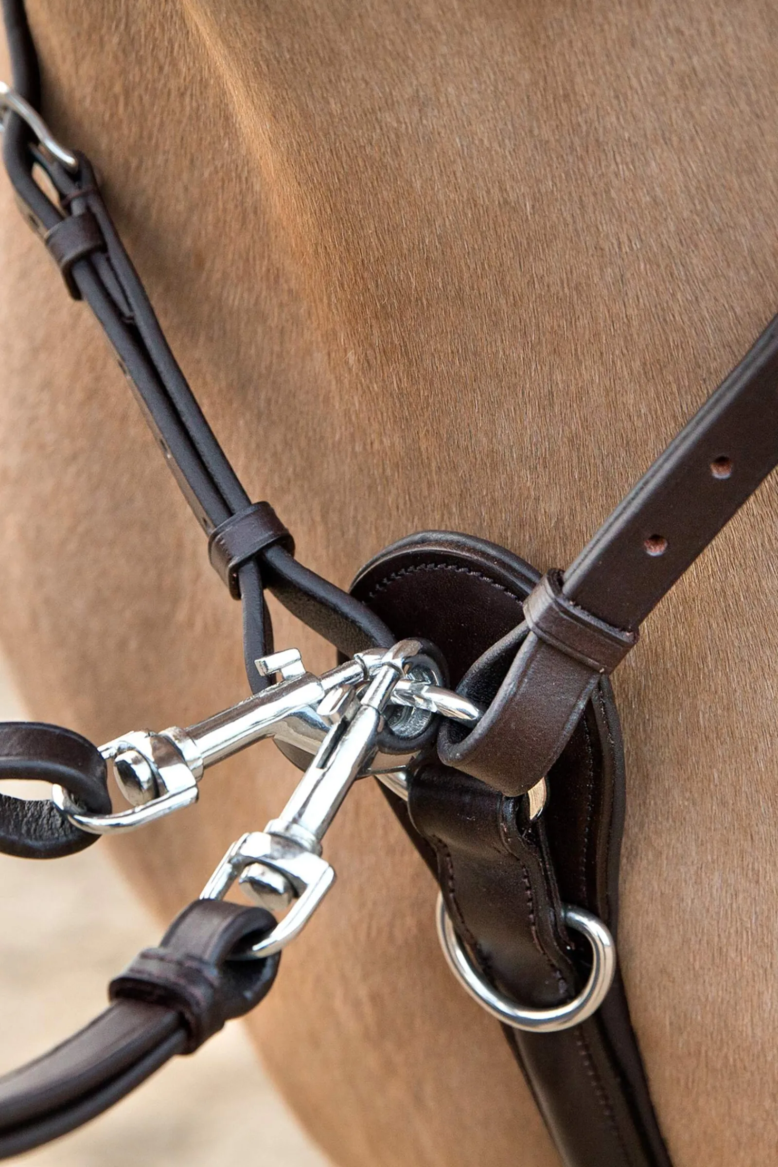 Discount Venice Combined Martingale Auxiliary Reins & Lunging Aids|Auxiliary Reins & Lunging Aids
