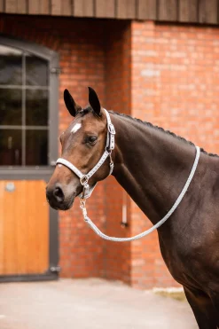 Fashion Victoria Halter Headcollars & Halters