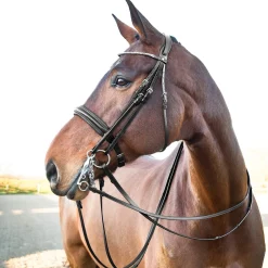 Hot Vienna Anatomic Weymouth Bridle Bridles & Nosebands