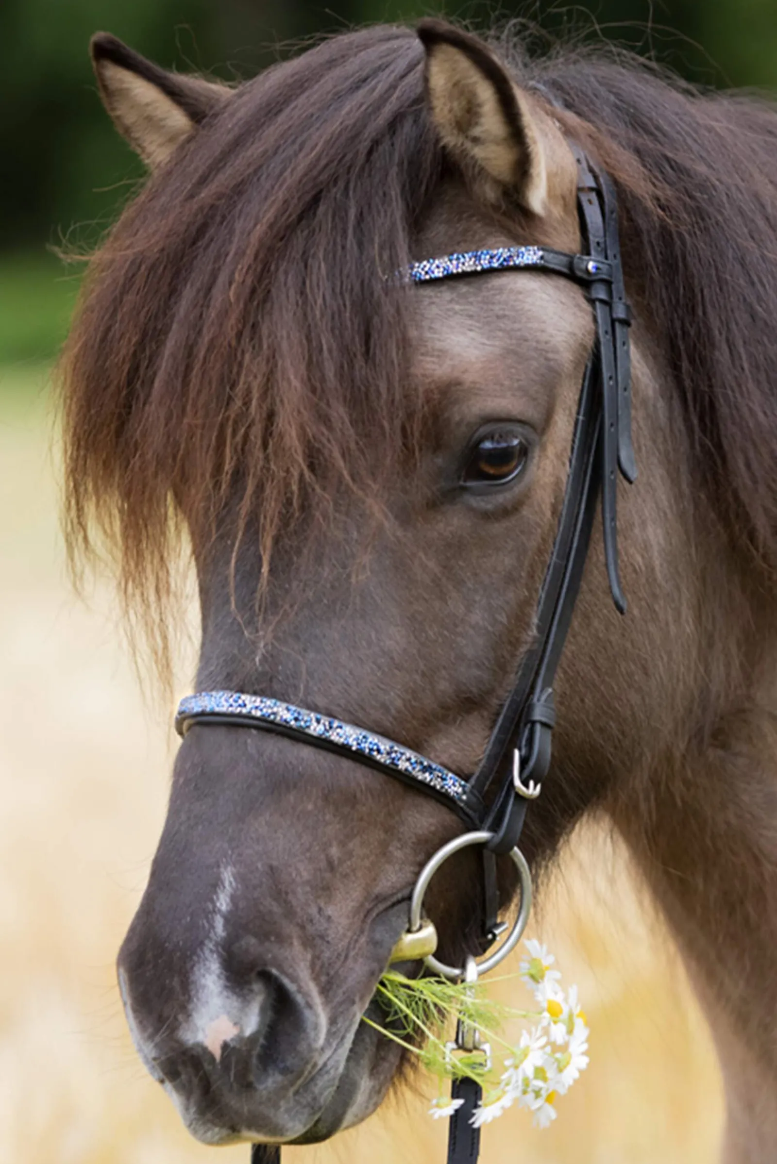 Online Blár Combined Noseband for Kjartan Icelandic Bridle Bridles & Nosebands