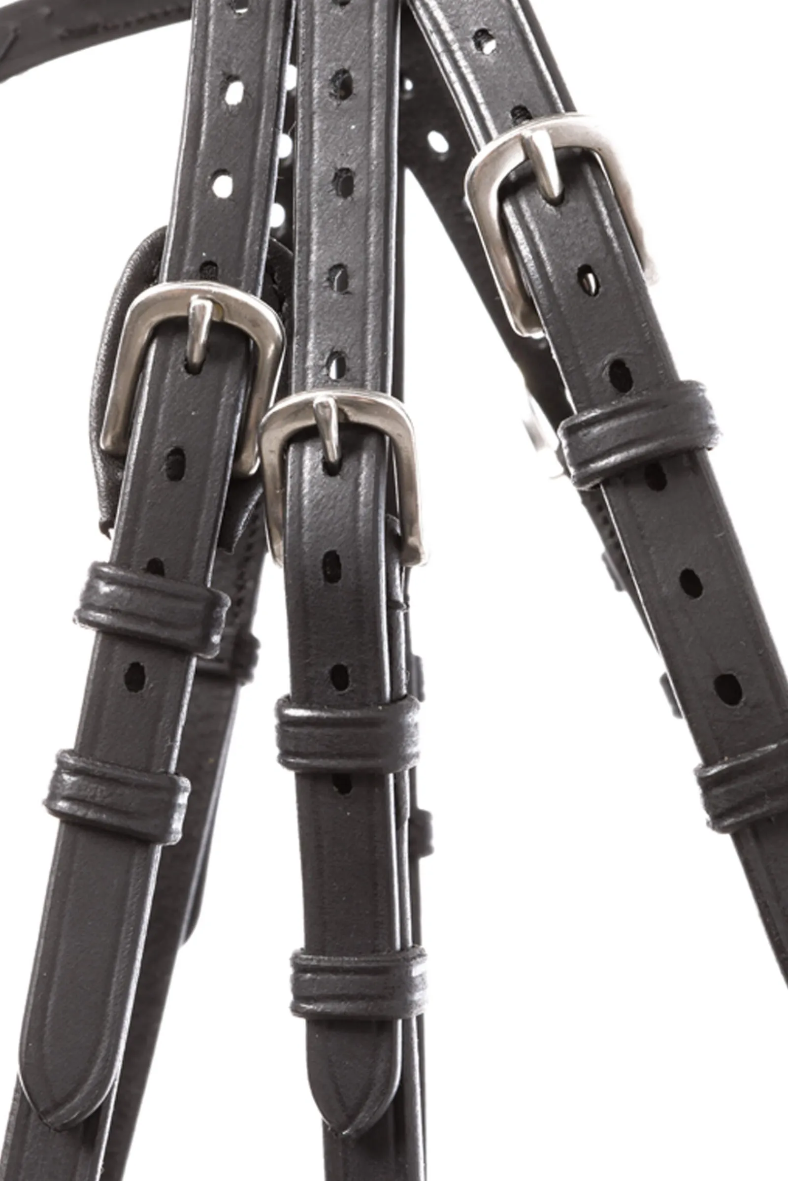 Outlet Bridle Everlyn crank nb-flash Bridles & Nosebands