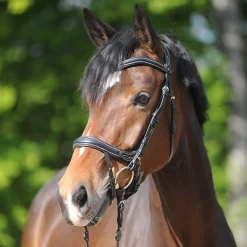 Discount Bridle Ivy IR Pony Bridles & Halters|Bridles & Nosebands
