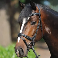 Best Bridle Ivy, noseband w/ flash Pony Bridles & Halters|Bridles & Nosebands