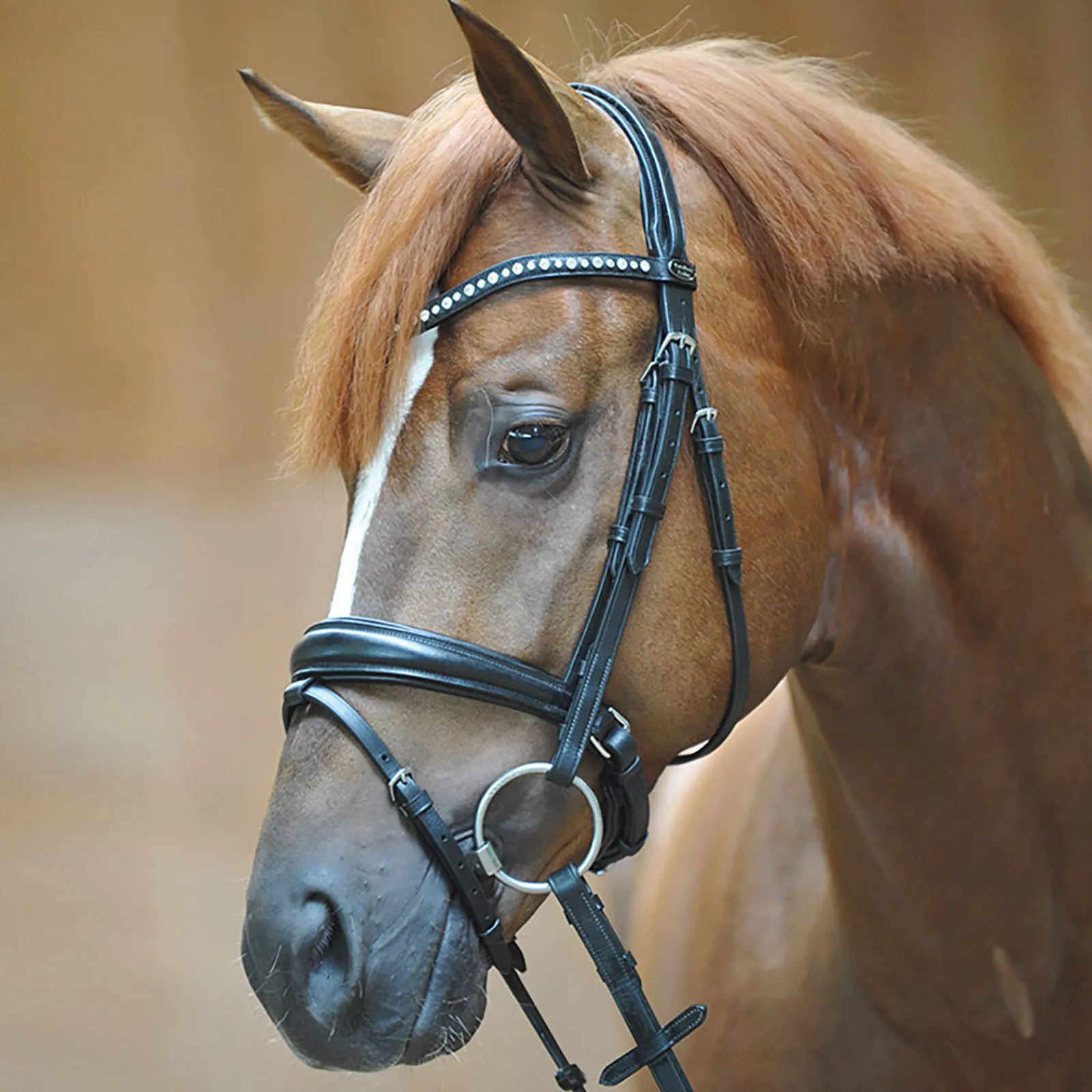 Discount Bridle Mia, crank noseband w/ flash Pony Bridles & Halters|Bridles & Nosebands