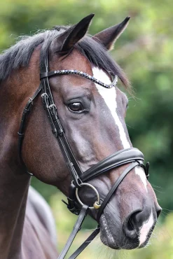 Fashion Bridle Ocean crank nb. with flash Bridles & Nosebands