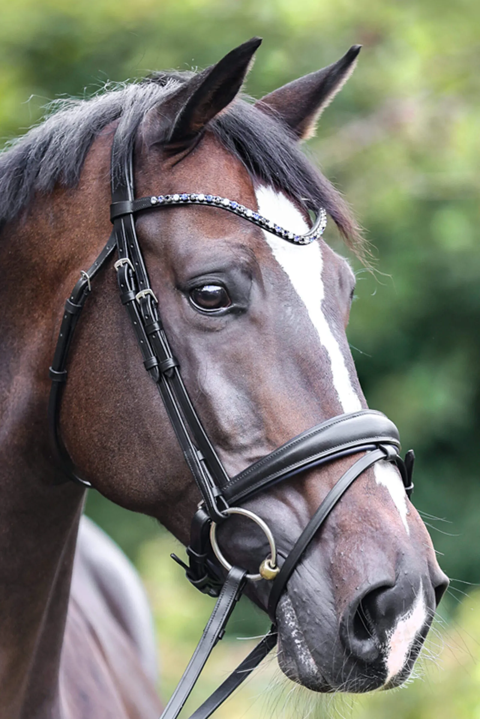 Fashion Bridle Ocean crank nb. with flash Bridles & Nosebands