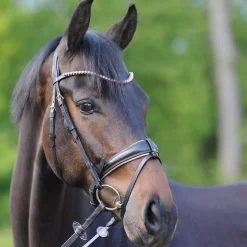 Discount Bridle Rose Pony Bridles & Halters|Bridles & Nosebands