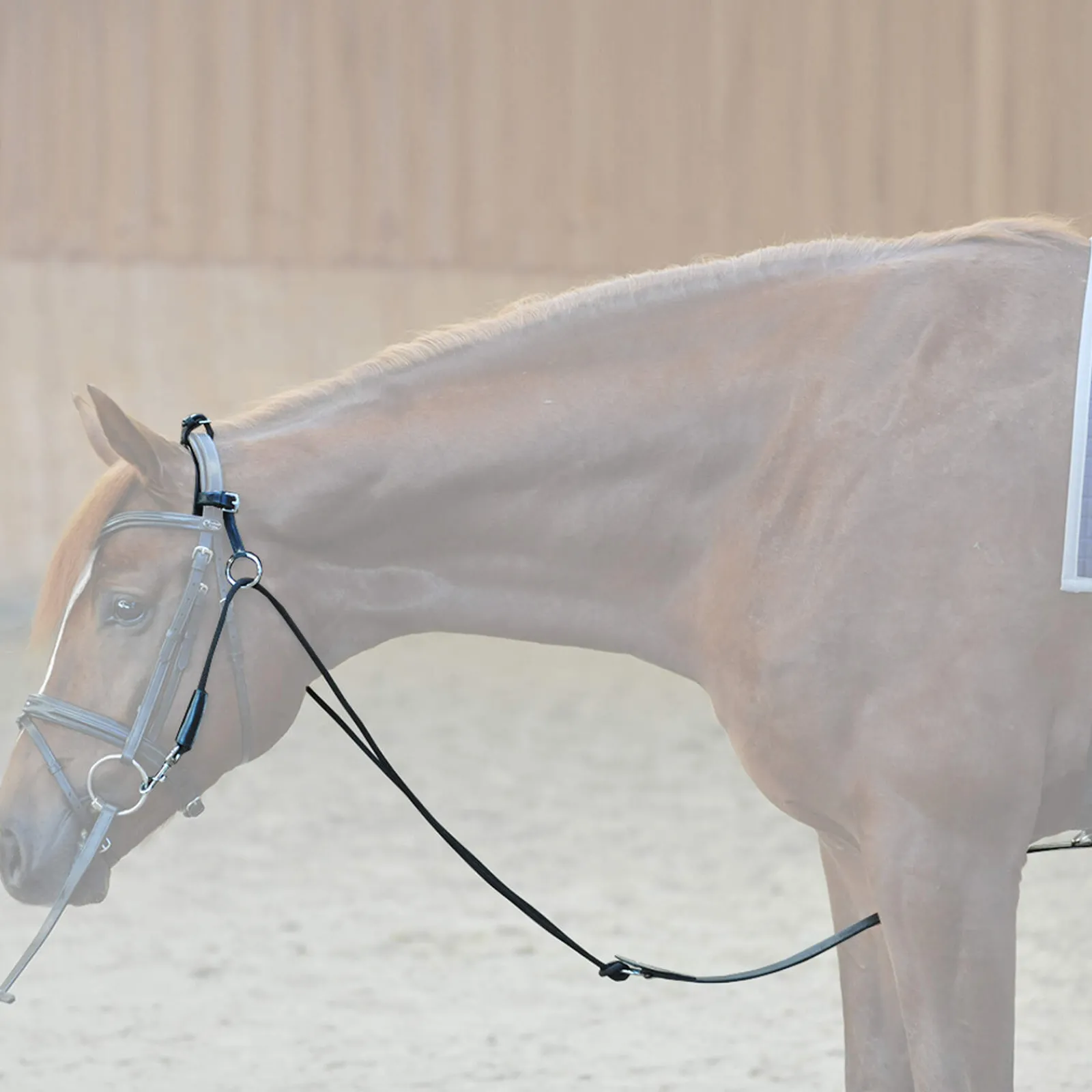 Outlet Chambon Lunge Lines & Lunging Ropes|Lunge Lines & Lunging Ropes