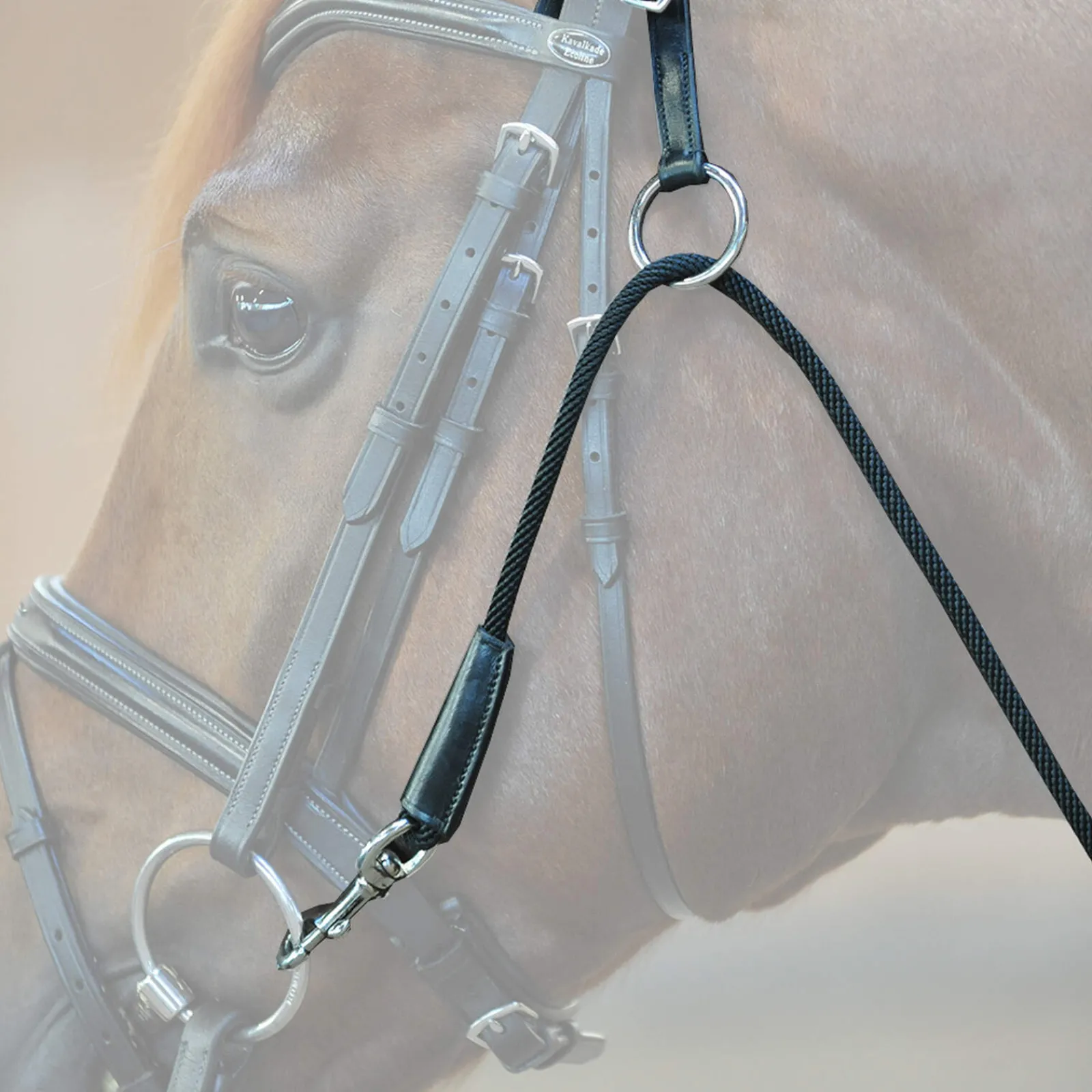 Outlet Chambon Lunge Lines & Lunging Ropes|Lunge Lines & Lunging Ropes