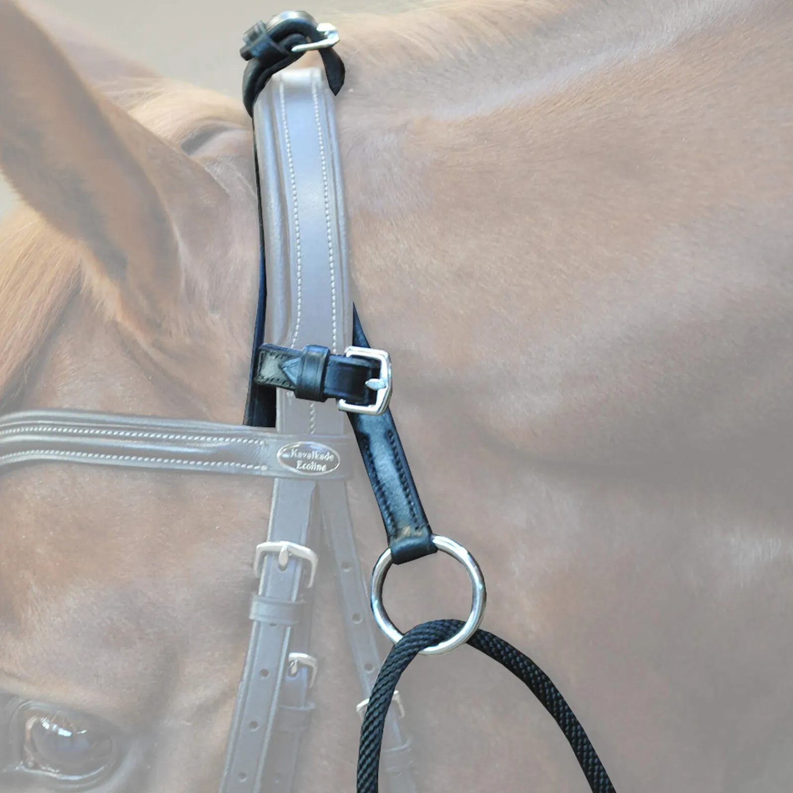 Outlet Chambon Lunge Lines & Lunging Ropes|Lunge Lines & Lunging Ropes