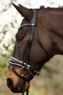 Hot Charlotte Dressage Bridle Crank Noseband Pony Bridles & Halters|Bridles & Nosebands