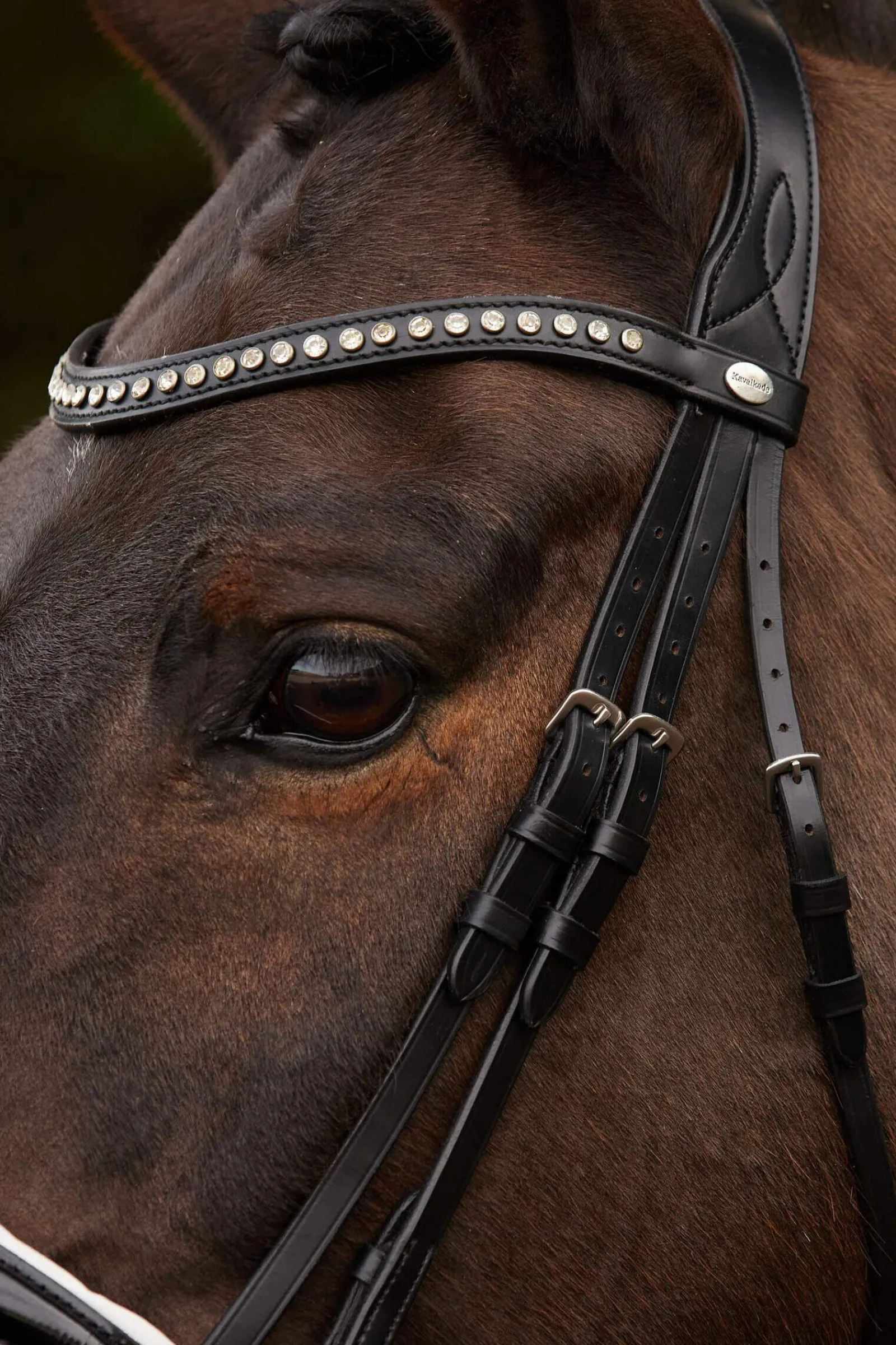 Hot Charlotte Dressage Bridle Crank Noseband Pony Bridles & Halters|Bridles & Nosebands