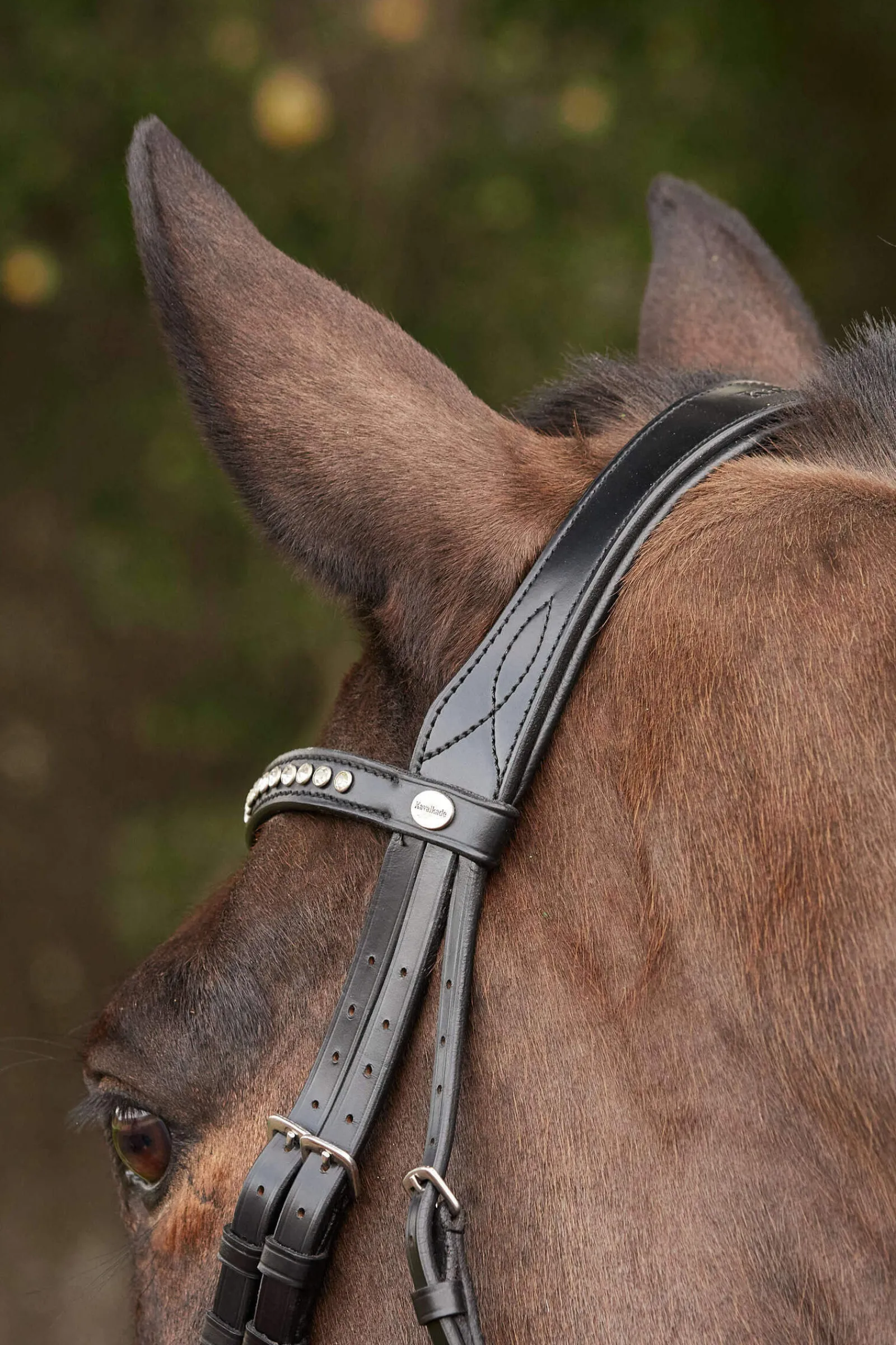 Hot Charlotte Dressage Bridle Crank Noseband Pony Bridles & Halters|Bridles & Nosebands